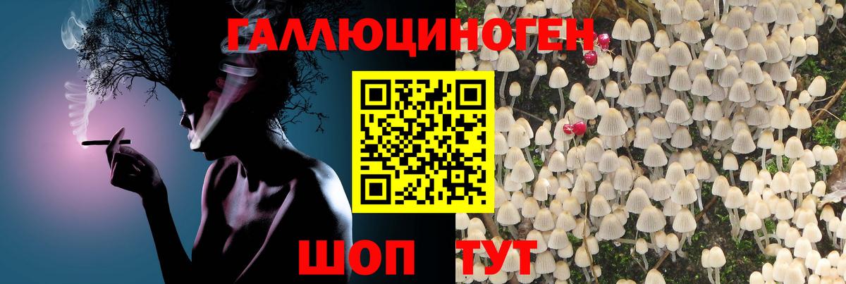Псилоцибиновые грибы MAGIC MUSHROOMS Анжеро-Судженск