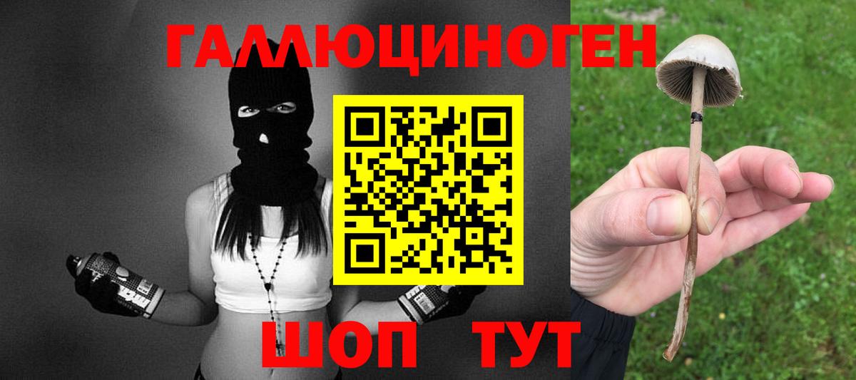 Псилоцибиновые грибы ЛСД  Вход с VPN  Псилоцибиновые грибы мухоморы  Анжеро-Судженск 